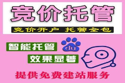 案例解析：竞价广告效果评估与优化
